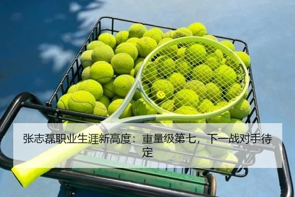 张志磊职业生涯新高度：重量级第七，下一战对手待定